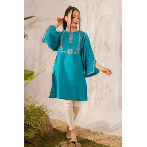 Ziva Fully Embroidered Lawn 2Pc-Ga2004