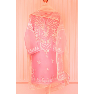 Heavy Embroidered  with Embroidered Organza dupatta-Ga1659