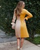 Ailyn Pleated Two Tone Dress