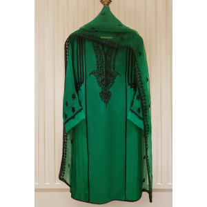 Heavy Embroidered  with Embroidered Organza dupatta-Ga1679