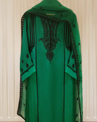 Heavy Embroidered  with Embroidered Organza dupatta-Ga1679