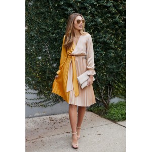 Ailyn Pleated Two Tone Dress