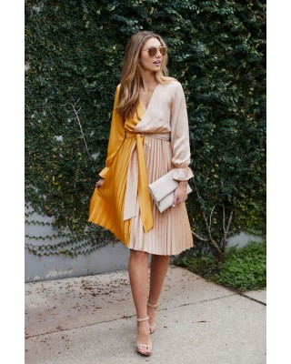 Ailyn Pleated Two Tone Dress