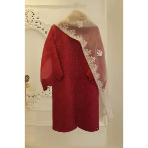 Heavy Embroidered  with organza dupatta-GA1625