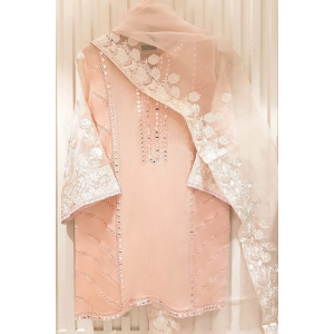 Heavy Embroidered  with Mirror Work  organza dupatta-GA1018