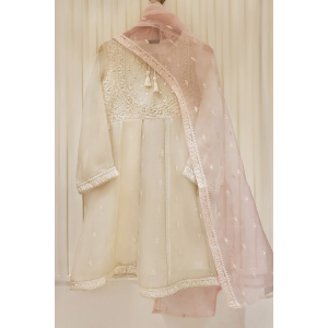 Heavy Embroidered  with Mirror organza dupatta-GA10194