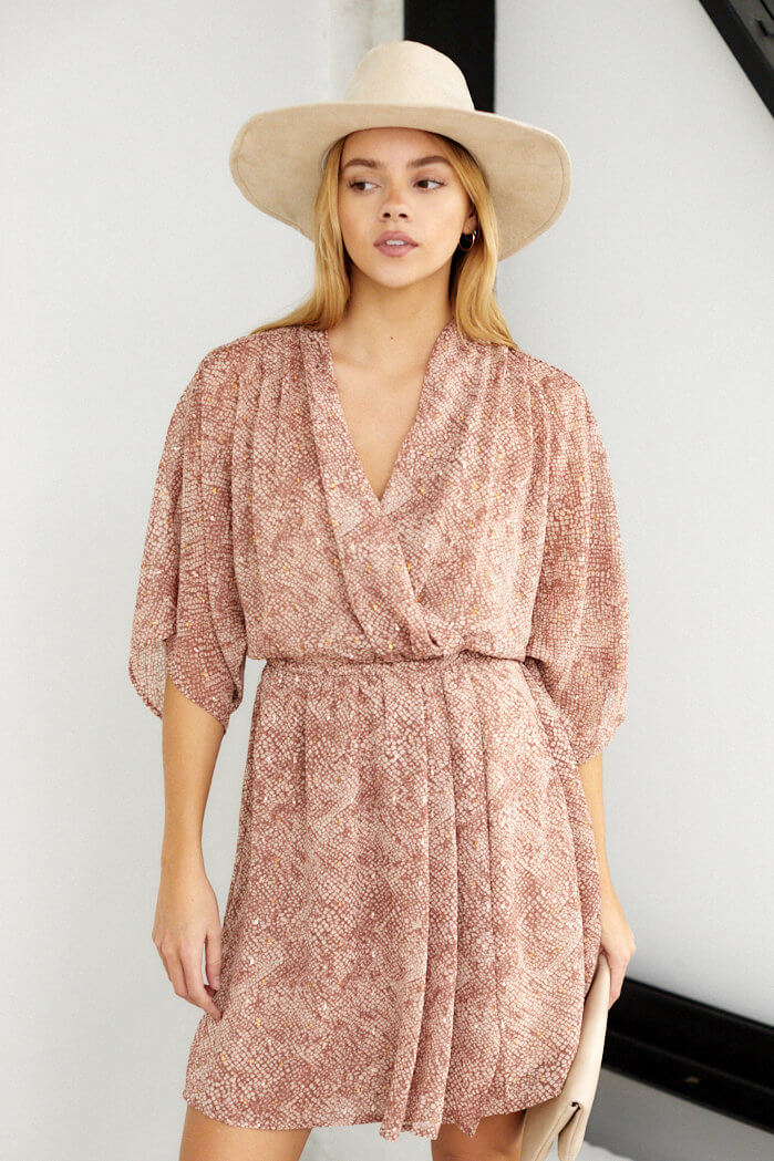 Aiden Short Sleeve V Neck Dress